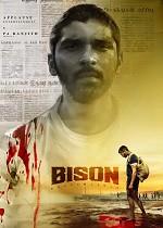 Bison