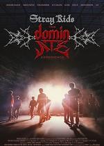 Stray Kids: The dominATE Experience